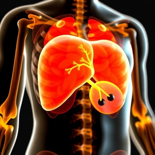 fatty-liver-linked-to-higher-osteoporosis-risk