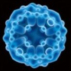 toolbox-developed-for-microplastic-tissue-interaction-analysis