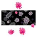 cytokines-and-estradiol:-age-and-reproductive-impact