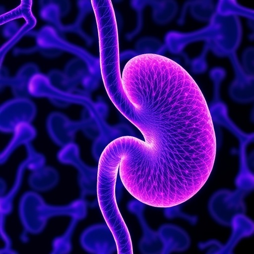 revolutionizing-pancreatic-cancer:-immunology-and-therapy-breakthroughs