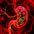 pancreatic-tumor-microenvironment:-heterocellular-interactions-explored