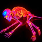 luminol-chemiluminescence-estimates-skeleton-postmortem-interval