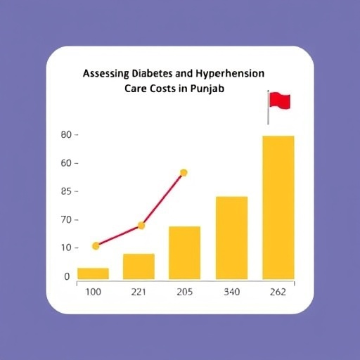 assessing-diabetes-and-hypertension-care-costs-in-punjab