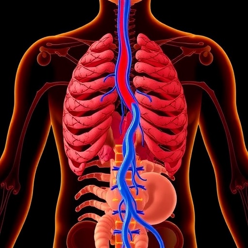 separate-sympathetic-paths-control-brown-fat-functions