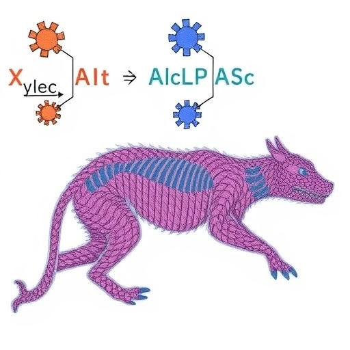 engineering-xylosyltransferase-to-alter-proteoglycans-in-mammals
