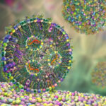 key-strategies-for-dsrna-control-and-quantitation-in-emerging-mrna-modalities