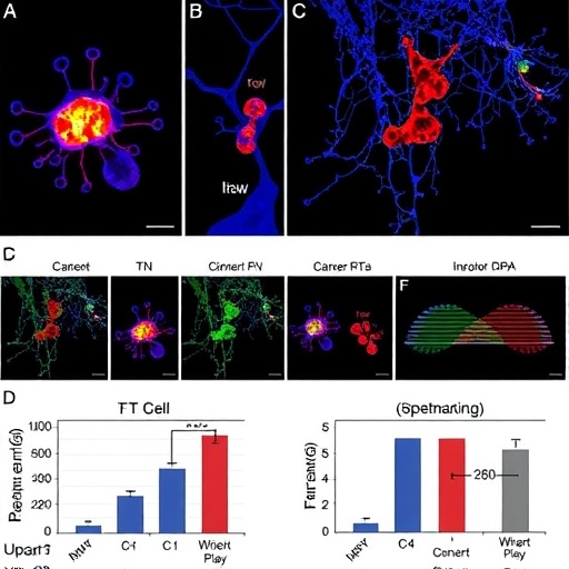 unraveling-epigenetic-control-of-t-cell-exhaustion-in-cancer