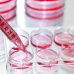 cell-lines-that-make-their-own-amino-acids