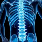 impact-of-spaceflight-countermeasures-on-lumbar-bone-health