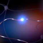 neuroqure-debuts-test-to-id-autism-risk-at-birth-critical-for-earlier-intervention