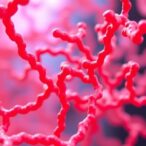 uncovering-two-key-enzymes-in-tilianin-biosynthesis