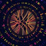 j.-craig-venter-launches-genomics-startup-designed-to-boost-diagnostic-insights