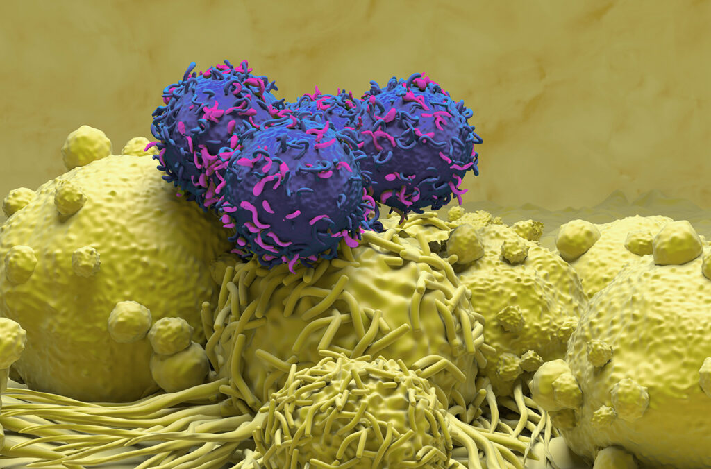 macrophage-targeting-car-t-cell-therapy-improves-survival-in-solid-tumor-mouse-models