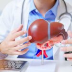 diet-addresses-liver-dysfunction-in-down-syndrome-mouse-model