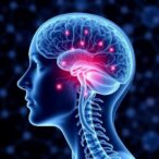 neurotrophic-peptide-therapy-advances-parkinson’s-treatment