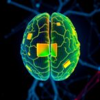 deep-learning-transforms-qsar-for-neurotoxicity-predictions