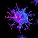 new-biomarkers-in-anti-tif1-γ-dermatomyositis-cancer-risk