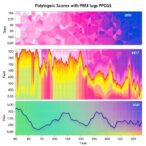 benchmarking-polygenic-scores-with-pgs-hub-platform