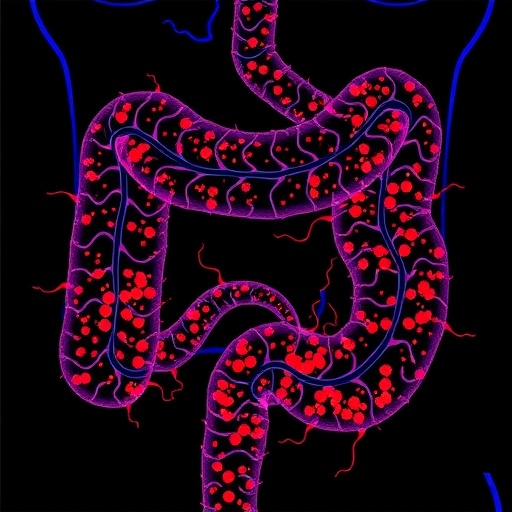 usp7:-key-immunotherapeutic-target-in-colorectal-cancer