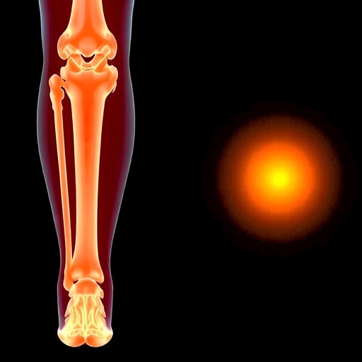 bisphosphonates-cut-fragility-fractures-in-jordan