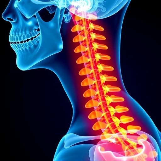 frax-and-fraxplus-effectively-forecast-vertebral-fractures