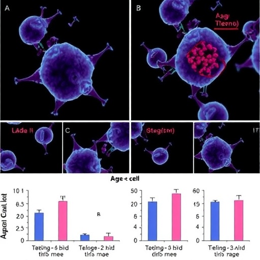 age-related-b-cell-expansion-in-type-1-autoimmune-pancreatitis