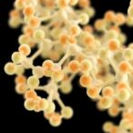 designing-powerful-inhibitors-for-crispr–cas13