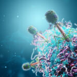 antibiotic-resistance-combatted-by-fully-synthetic-bacteriophage-assembly