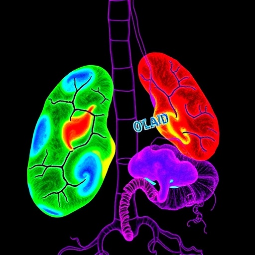revealing-tumor-diversity-in-hepatocellular-carcinoma-insights
