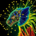 cross-species-knowledge-transfer-in-deep-learning-spectral-analysis