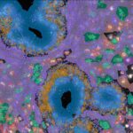 clinical-ambitions:-10x-expands-beyond-research-with-trio-of-collaborations