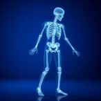 bone-health-linked-to-lifestyle-in-indian-adults