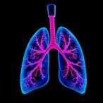 distinct-airway-networks-uncovered-in-asthmatic-children