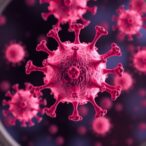 how-tumor-derived-vesicles-drive-immune-resistance