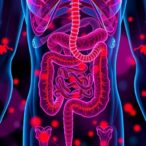 kynurenine-drives-chemotherapy-intestinal-toxicity-via-microbiota