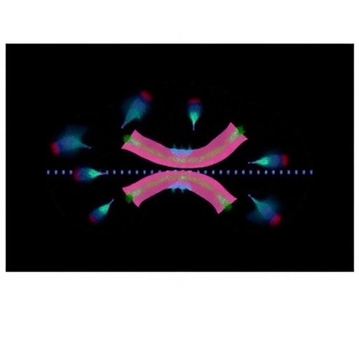 recognizing-pediatric-chordoma’s-poorly-differentiated-subtype