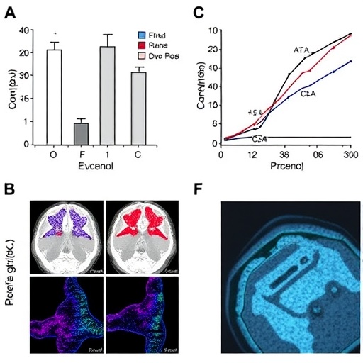 crocin-and-eugenol-boost-radiosensitivity-in-oral-cancer