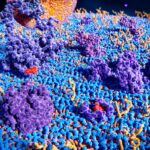 function-of-cell-surface-glycornas-identified