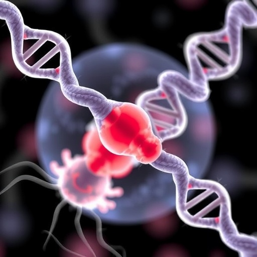 sperm-dna-fragmentation:-impact-on-mammalian-reproduction