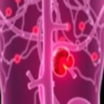 epithelial-cell-damage-influences-kidney-transplant-survival