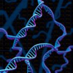 complete-human-genome-tandem-repeat-catalog-released