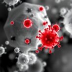 population-sequencing-reveals-ebv-dna-persistence