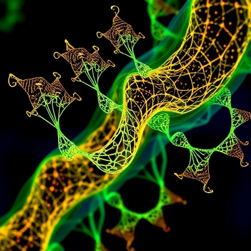 bionano-mapping-reveals-complexities-of-chromosomal-duplications