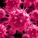 mobile-elements-drive-antimicrobial-resistance-in-pseudomonas