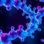 biomolecular-condensates-maintain-ph-gradients-via-charge-neutralization