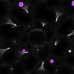 oxygen-responsive-platinum(ii)-porphyrin-for-hypoxia-imaging