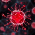 red-blood-cell-deformation-under-extreme-strain-rates