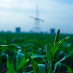 unveiling-atrazine’s-impact-on-hormone-receptors