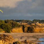 chutes-&-ladders—cardiff-churns-c-suite-to-advance-cancer-candidate