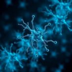 revealing-host-response-to-dormant-mycobacterium-tuberculosis